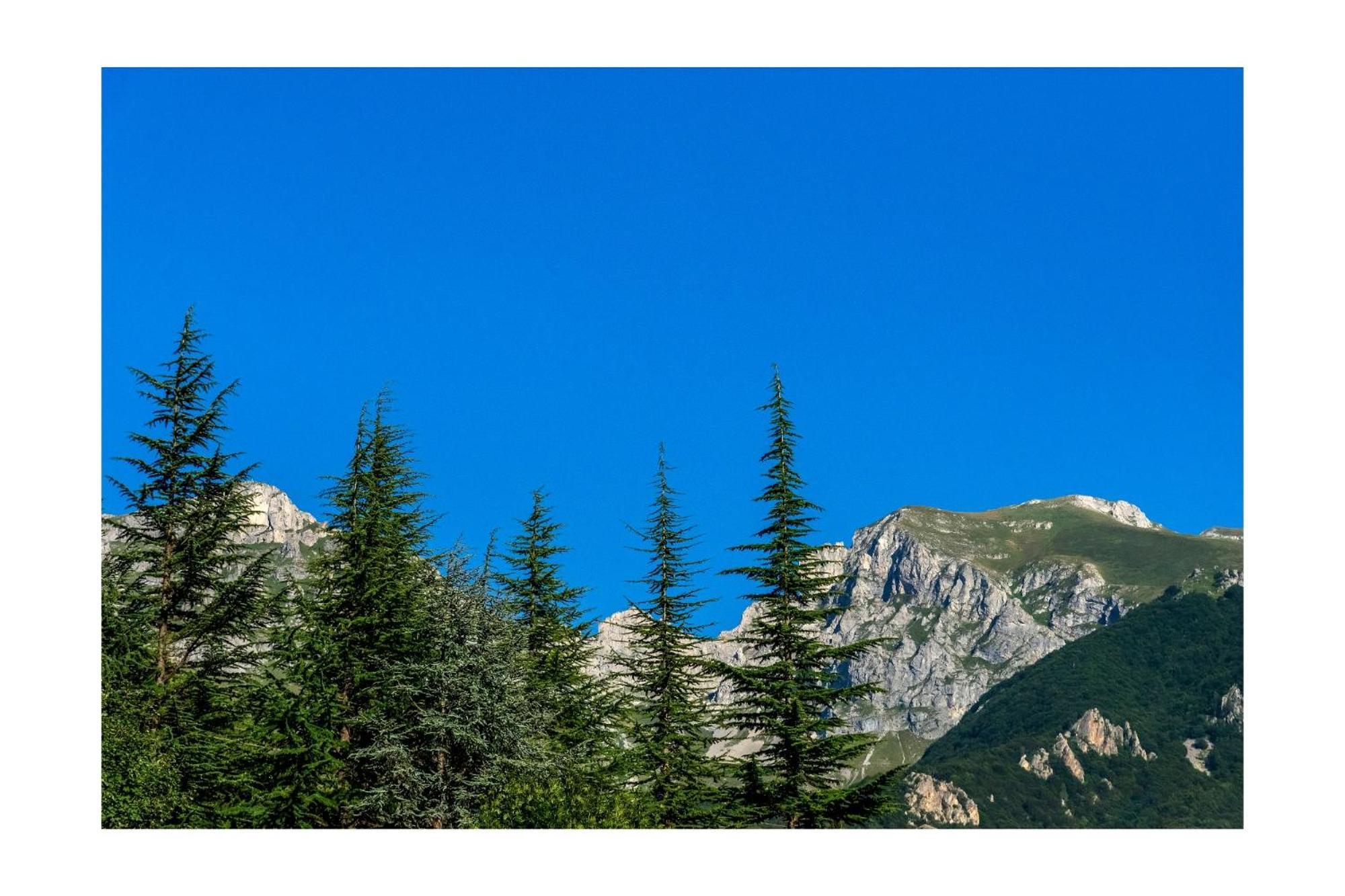 Chalet Bragard Limone Piemonte Bagian luar foto
